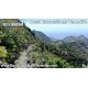 Tenerife Guided Walks - The Wow Factor Walk (Saturday)